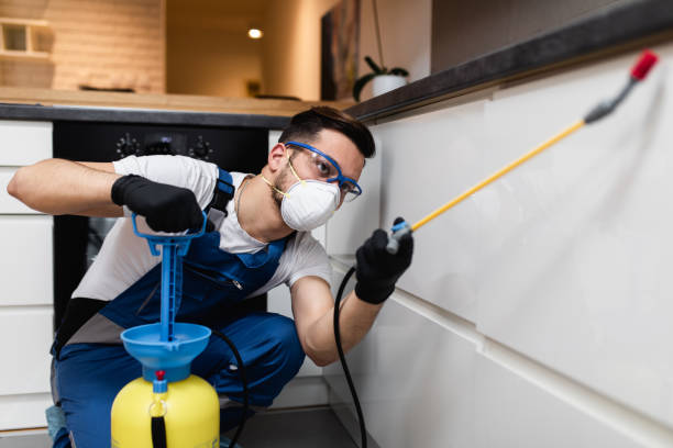 Best Exterminator Services  in West Park, NJ
