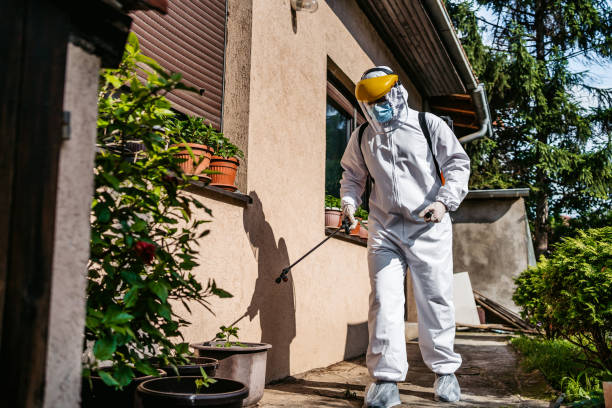 Best Wasp Removal Services  in West Park, NJ