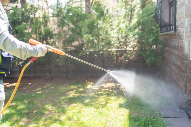 Best Pest Inspection Near Me  in West Park, NJ