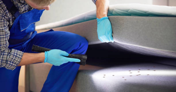 Best Local Pest Control Services  in West Park, NJ