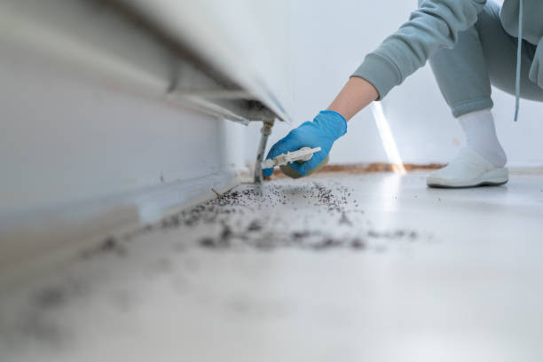 Reliable West Park, NJ Pest Control Solutions